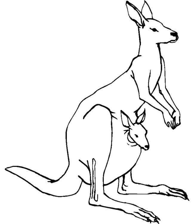 Coloriage kangourou en ligne