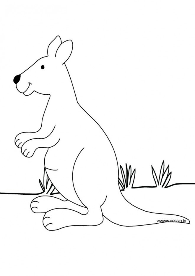 Coloriage kangourou mignon
