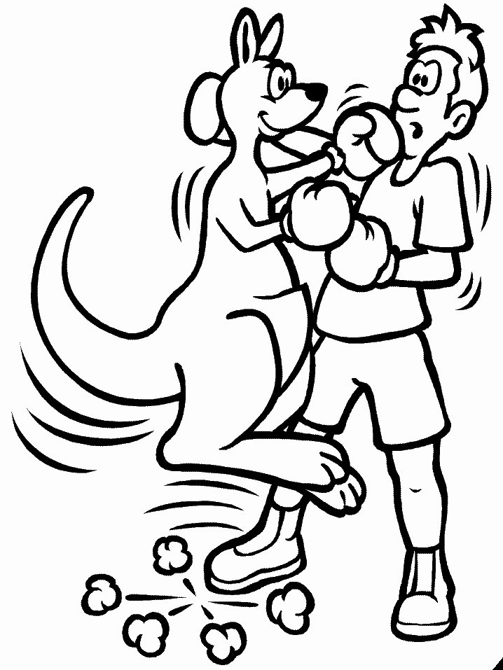 Coloriage kangourou qui boxe