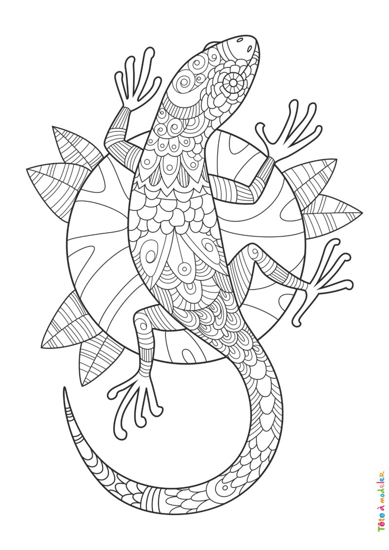 Coloriage lézard #01