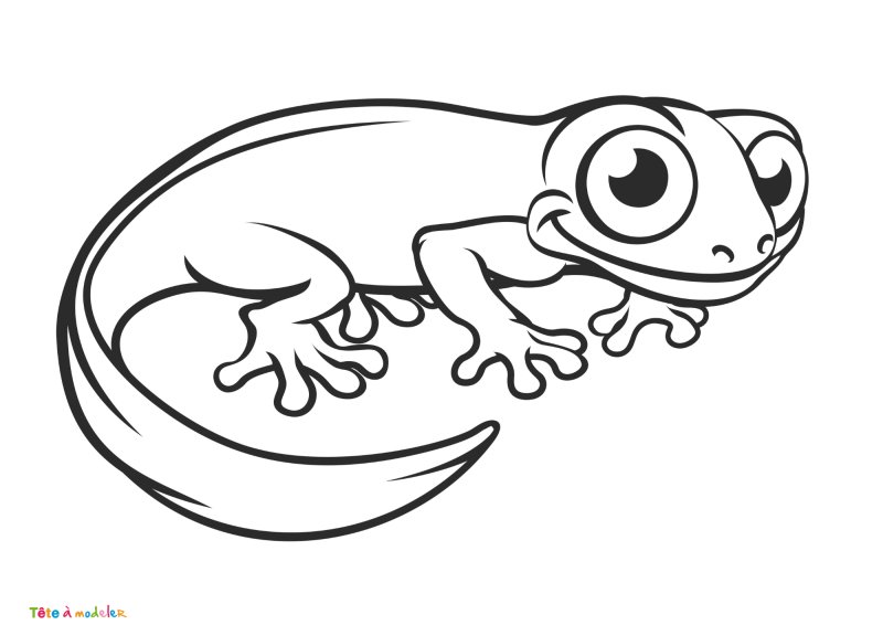 Coloriage lézard #04