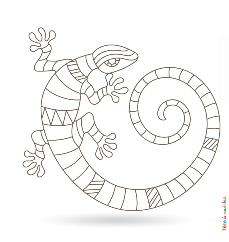 Coloriage lézard #09
