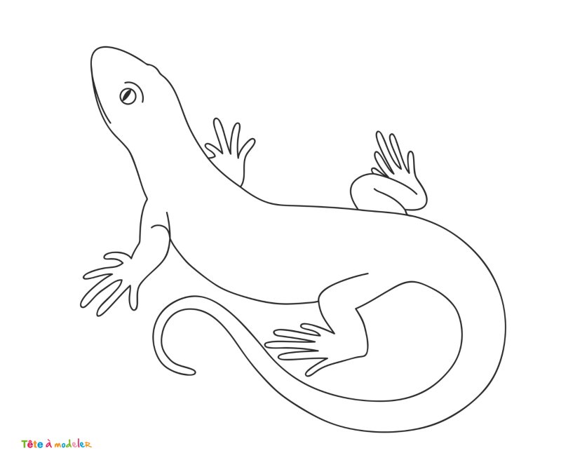 Coloriage lézard #10