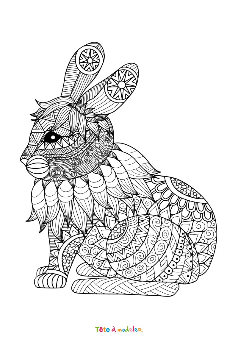 Coloriage libellule art therapie