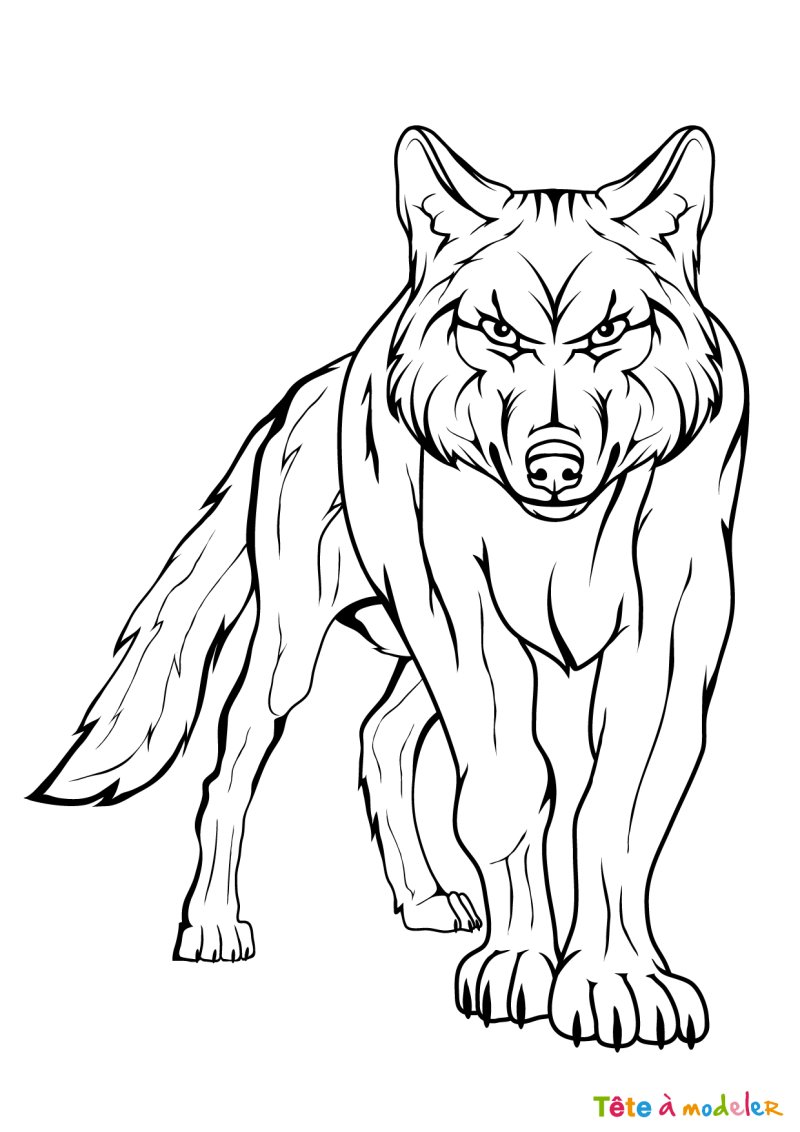 Coloriage loup #01