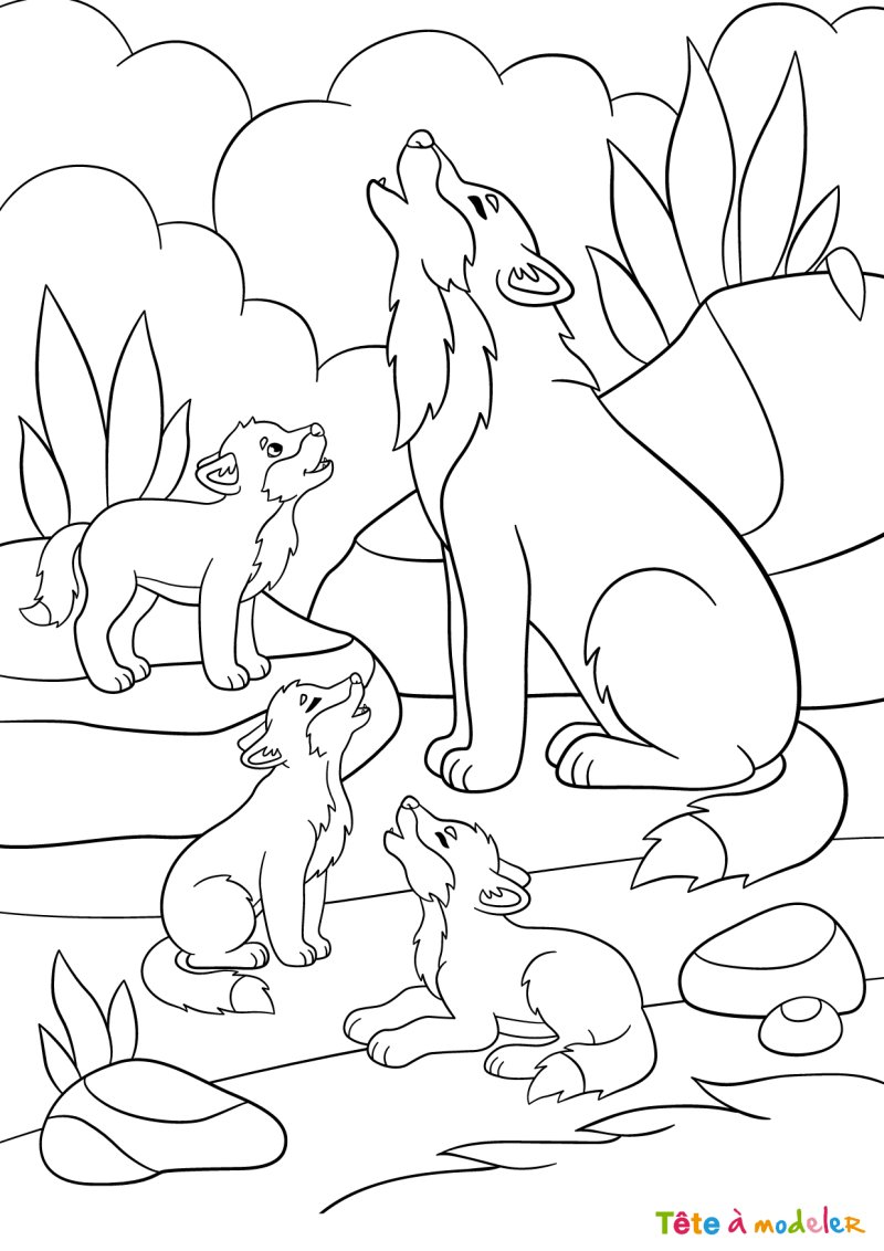 Coloriage d'une famille de loups