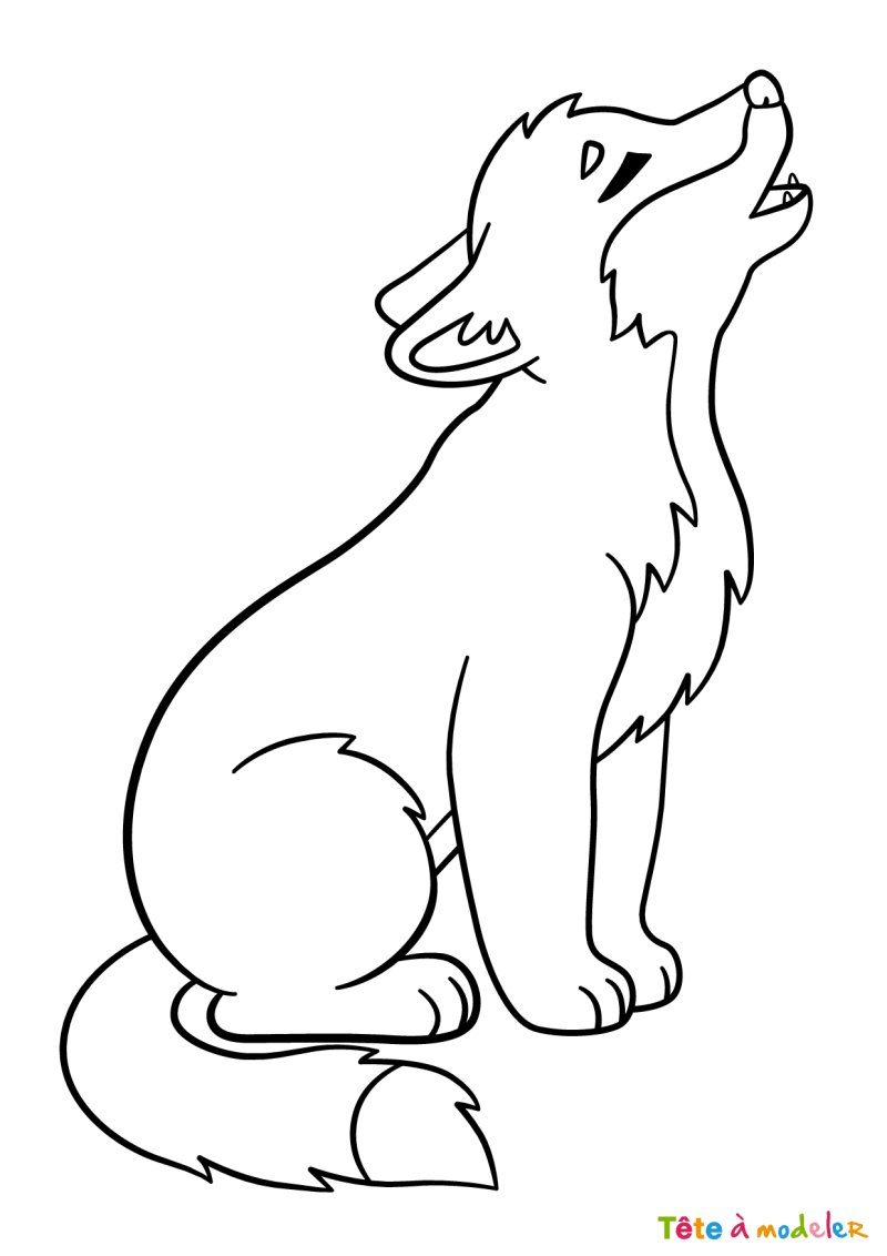 Coloriage d'un loup pour maternelle