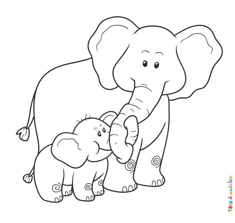 Coloriage éléphant #07