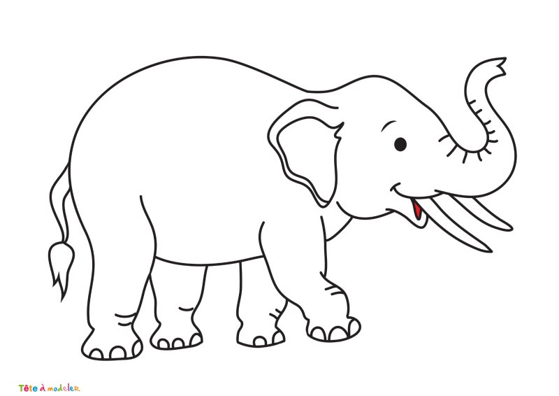 Coloriage éléphant #08