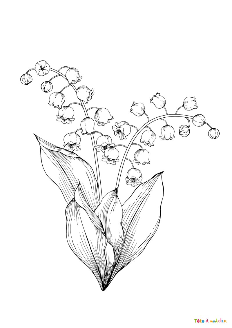 Coloriage muguet #04