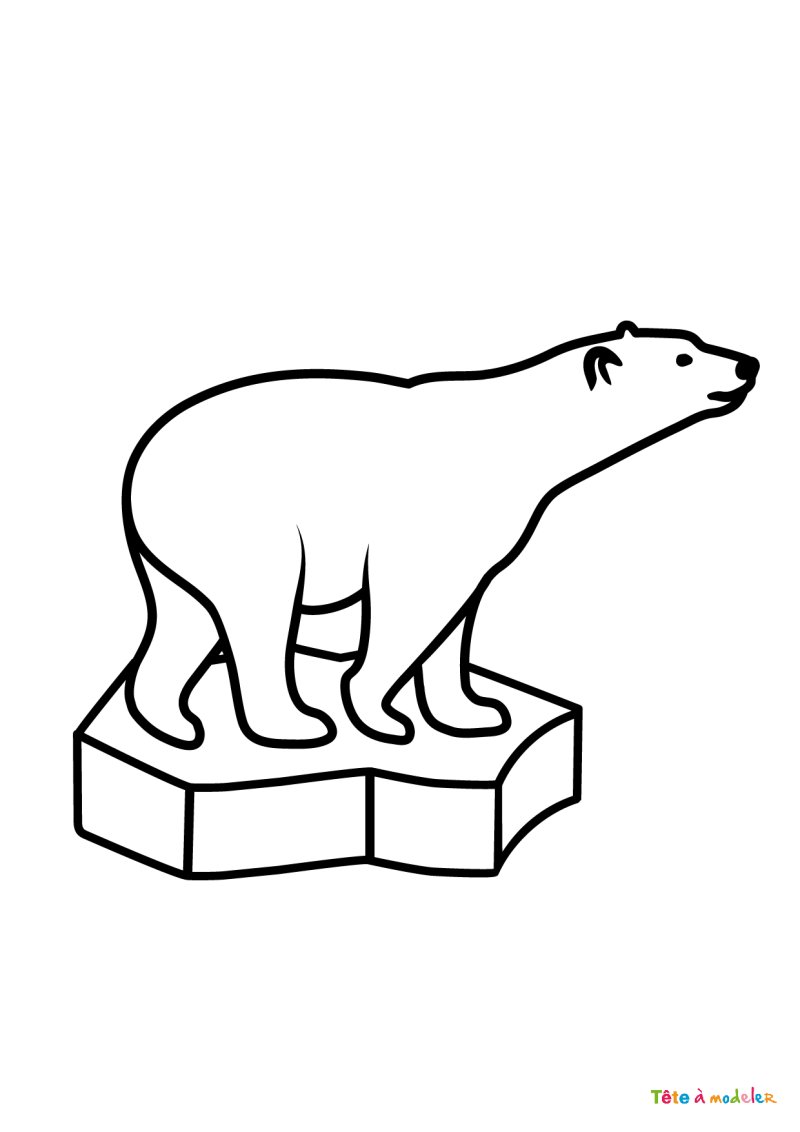 Coloriage ours polaire #09
