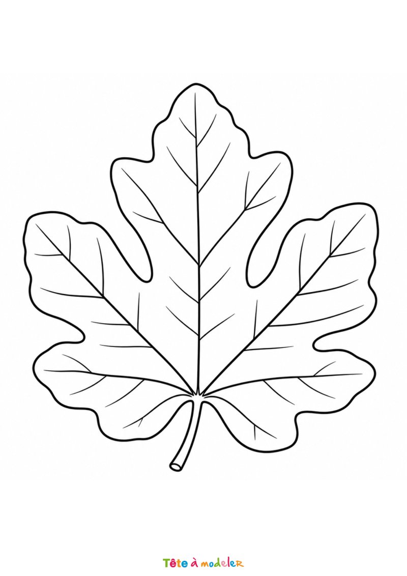 Coloriage ourson à l'école : l'histoire