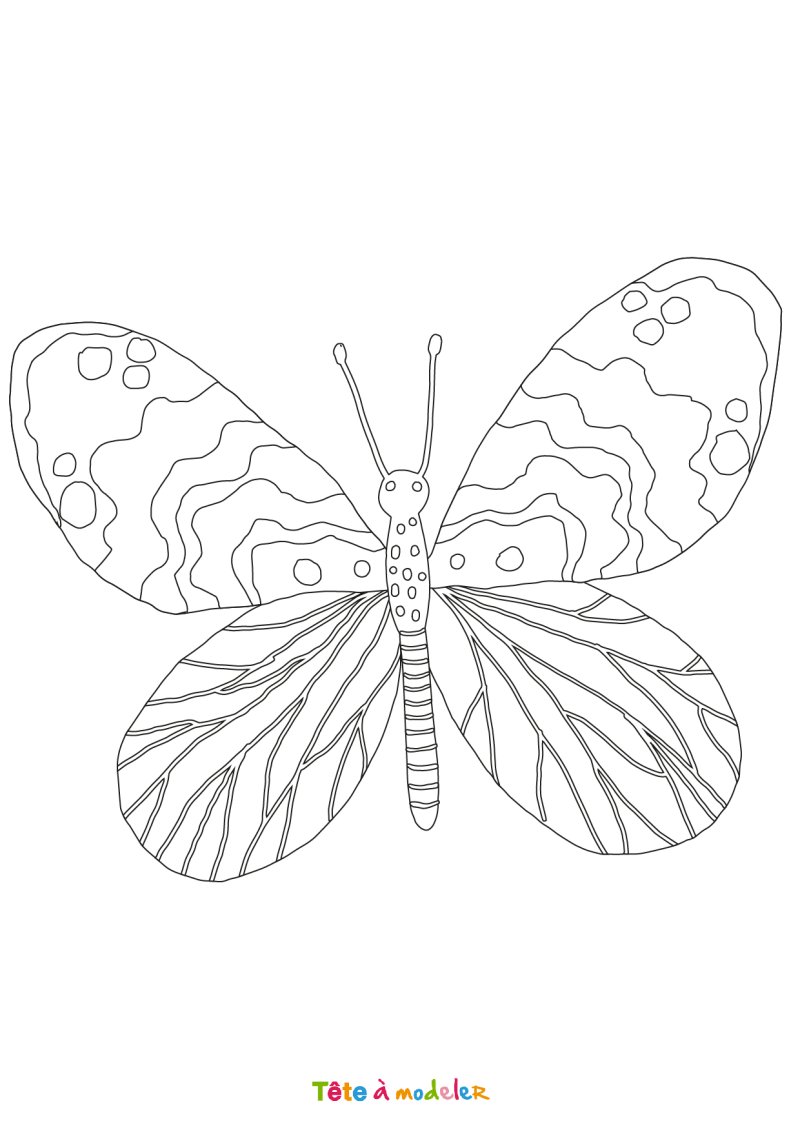 Coloriage papillon #01