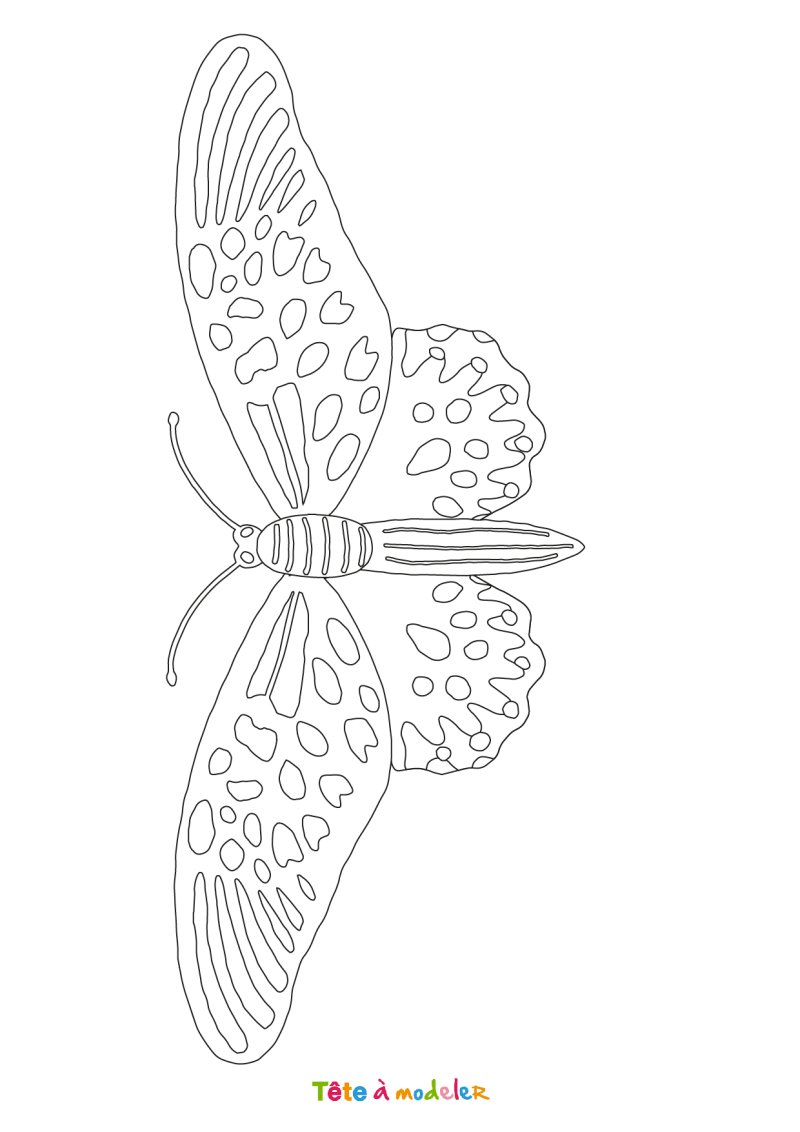 Coloriage papillon #02
