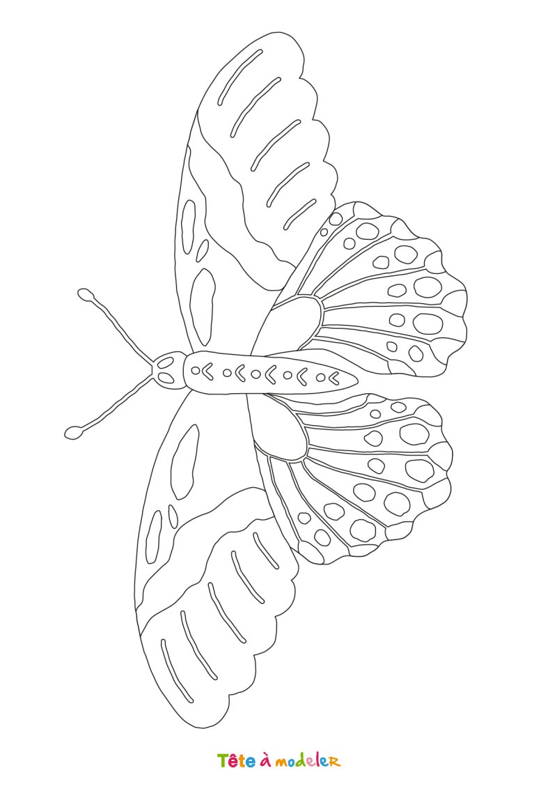 Coloriage papillon #08