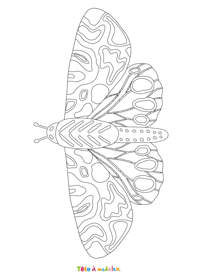Coloriage papillon #09