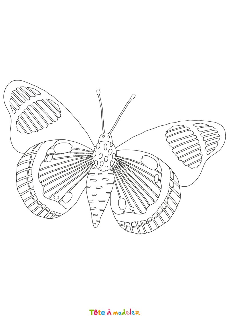 Coloriage papillon #10