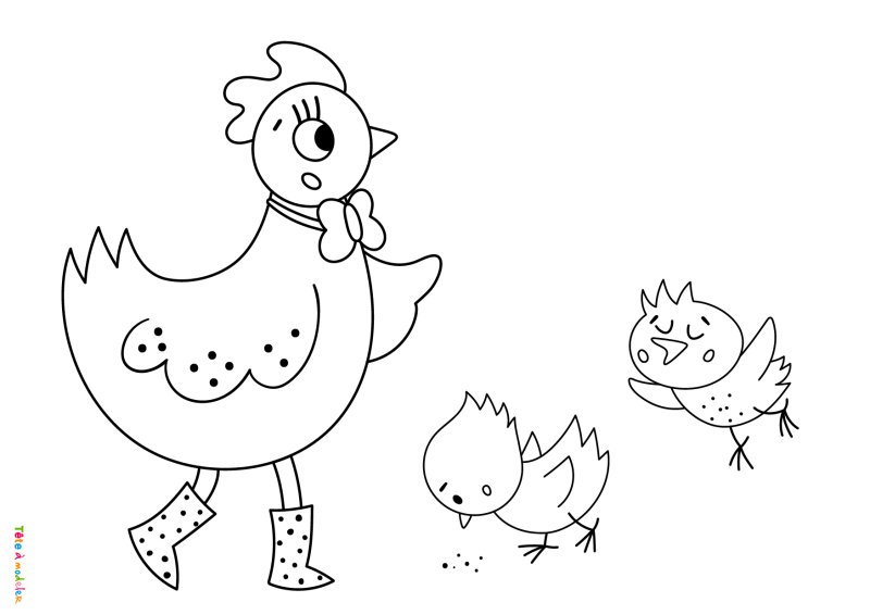 Coloriage poule #01