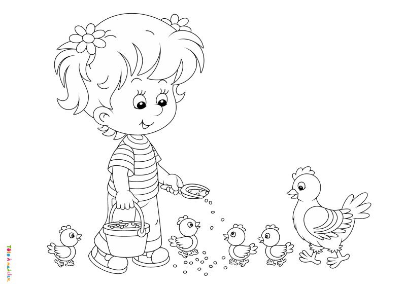 Coloriage poule #02
