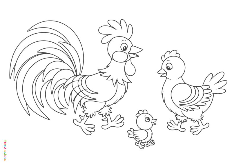 Coloriage poule #06