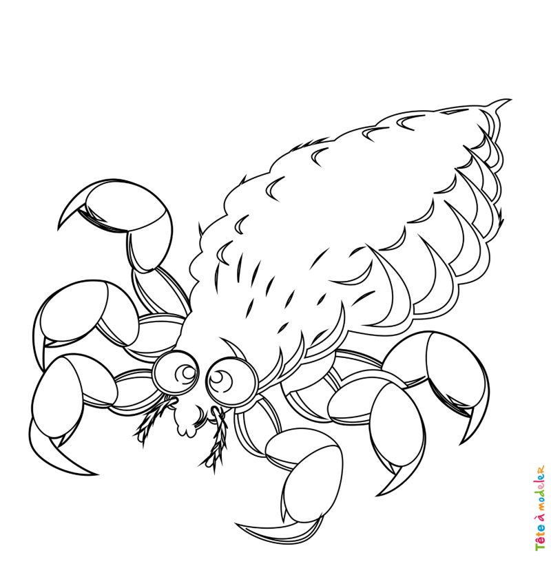Coloriage poux #06