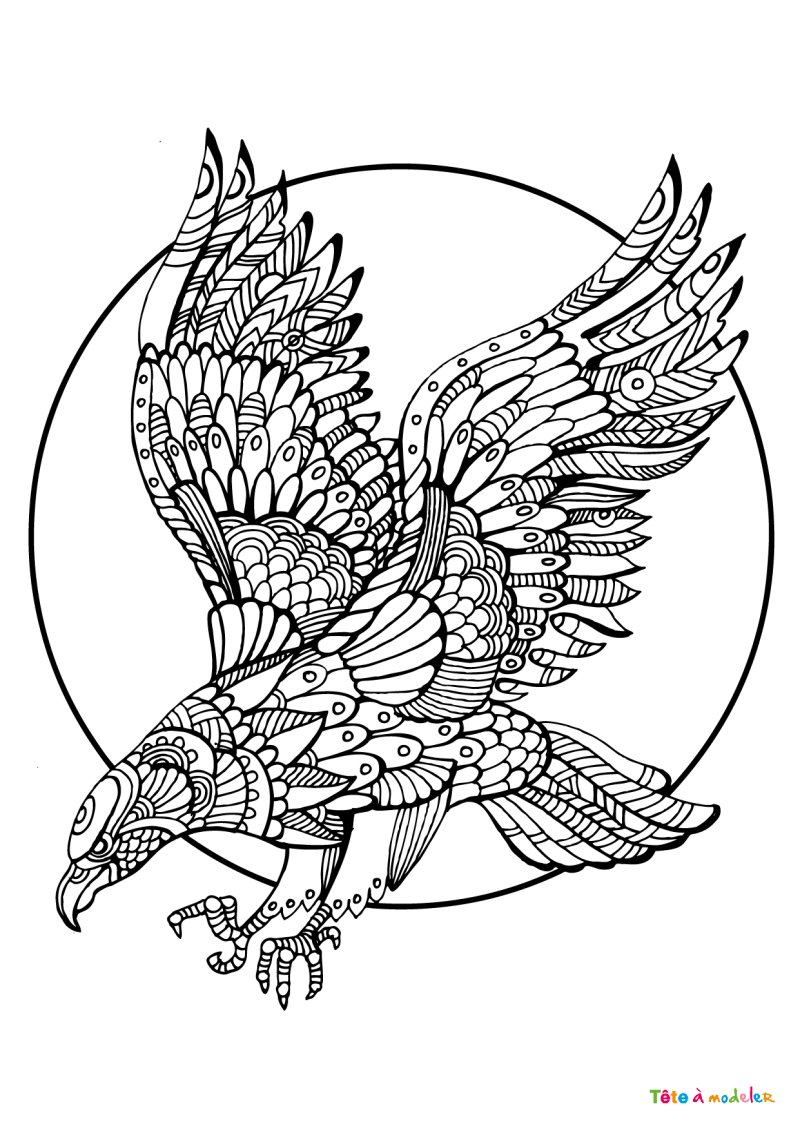 Coloriage rapace #04