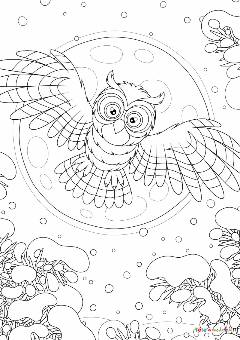 Coloriage rapace #07