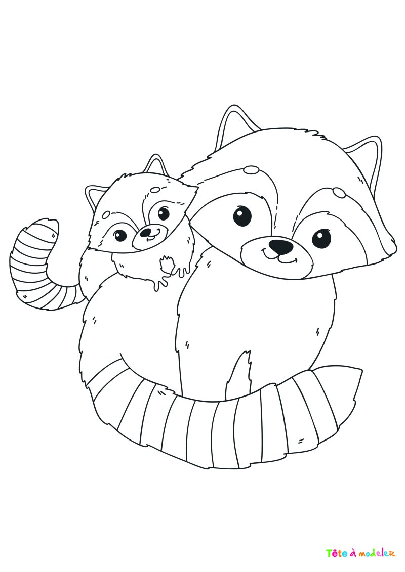 Coloriage raton laveur #01