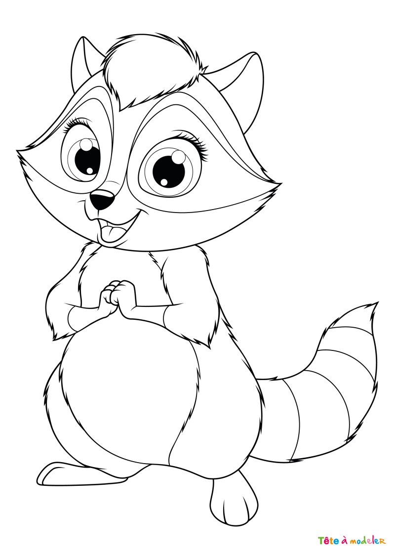Coloriage raton laveur #02
