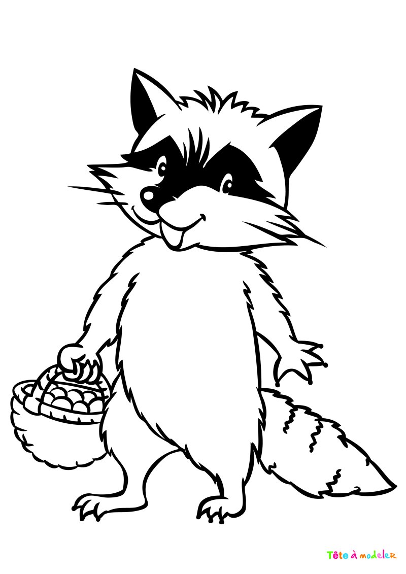 Coloriage raton laveur #03