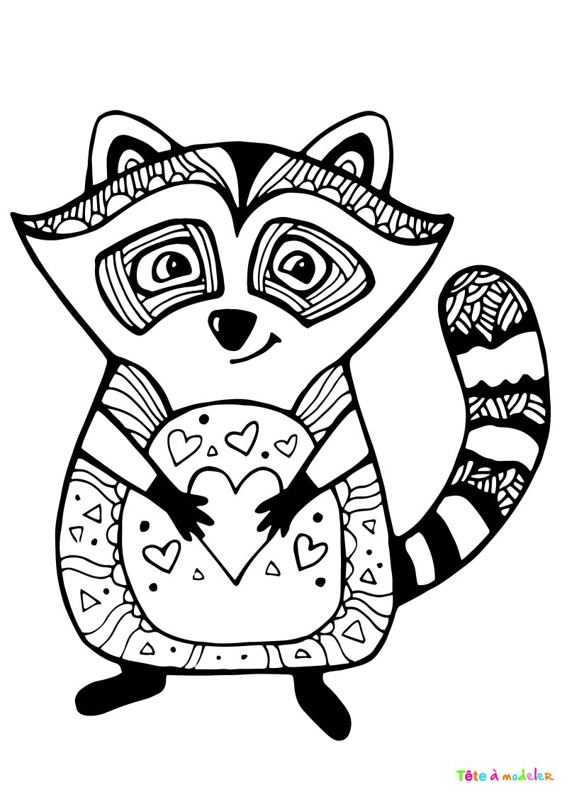 Coloriage raton laveur #04