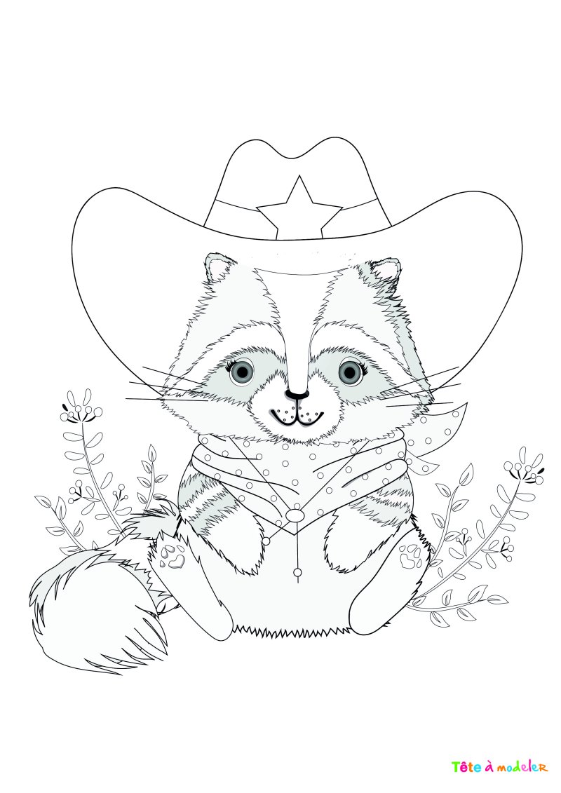 Coloriage raton laveur #06