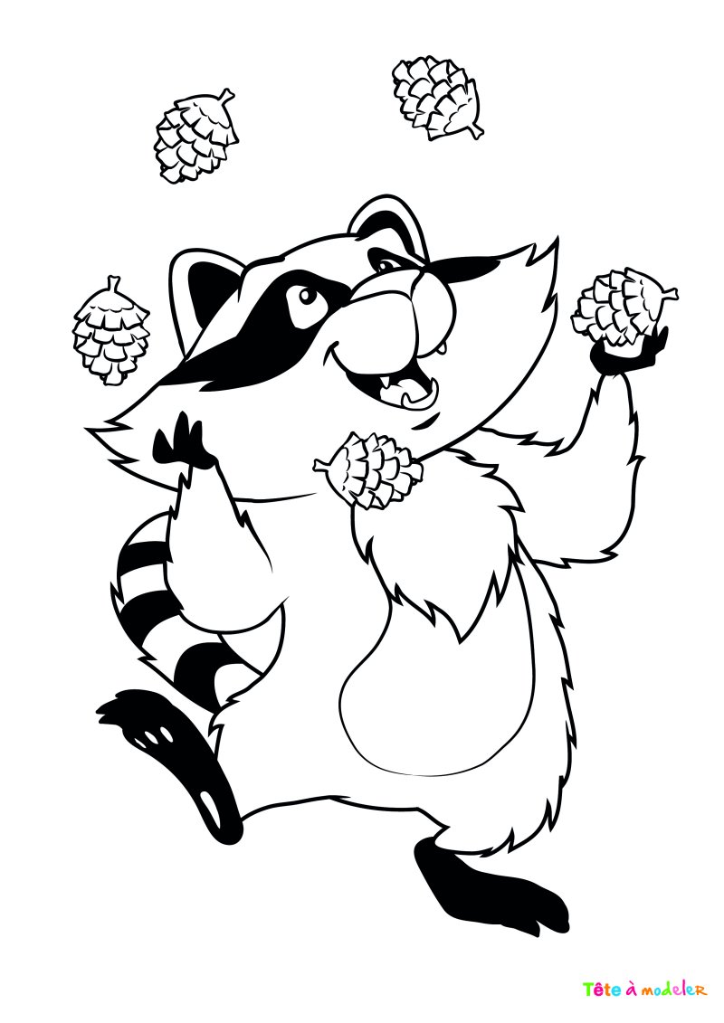 Coloriage raton laveur #09