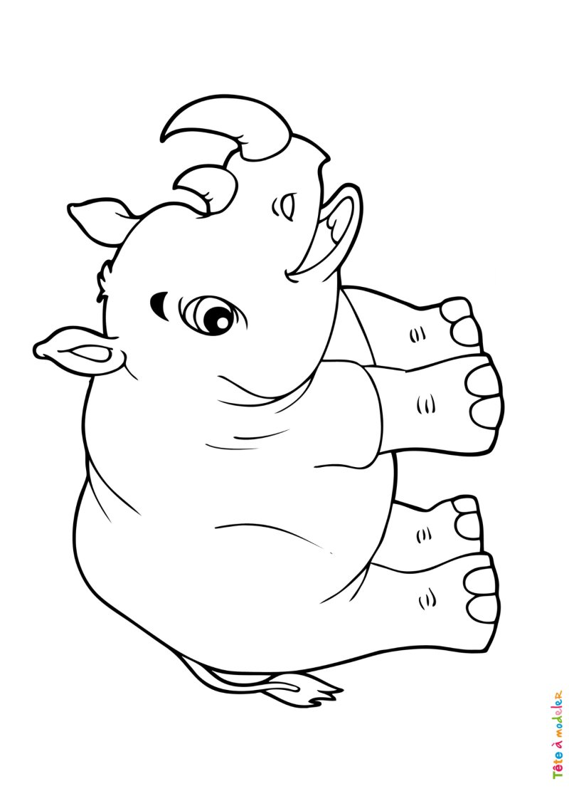 Coloriage rhinocéros #02