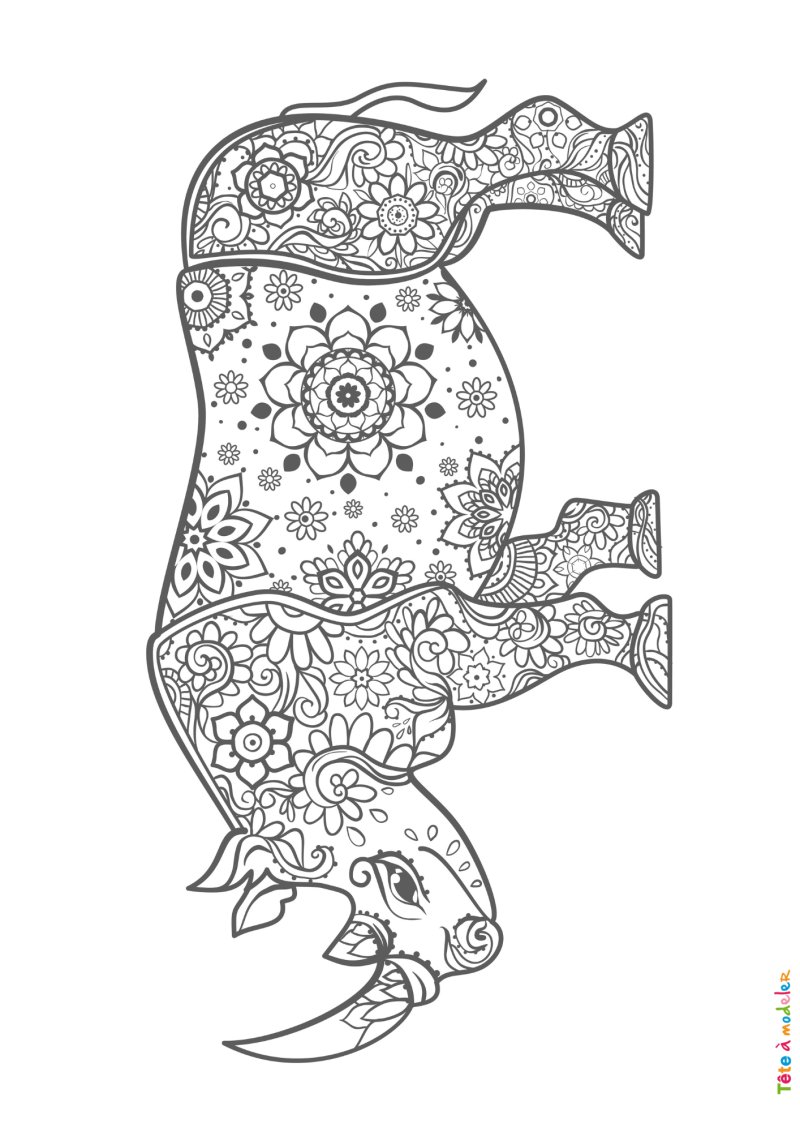 Coloriage rhinocéros #03