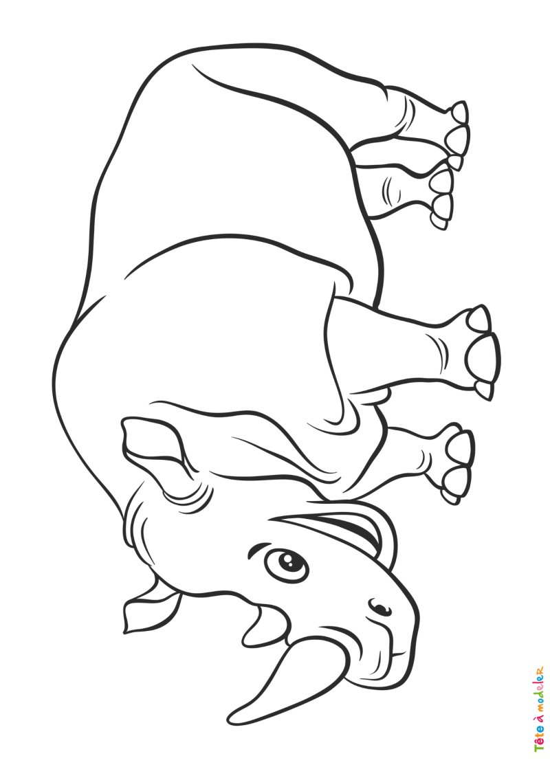 Coloriage rhinocéros #04