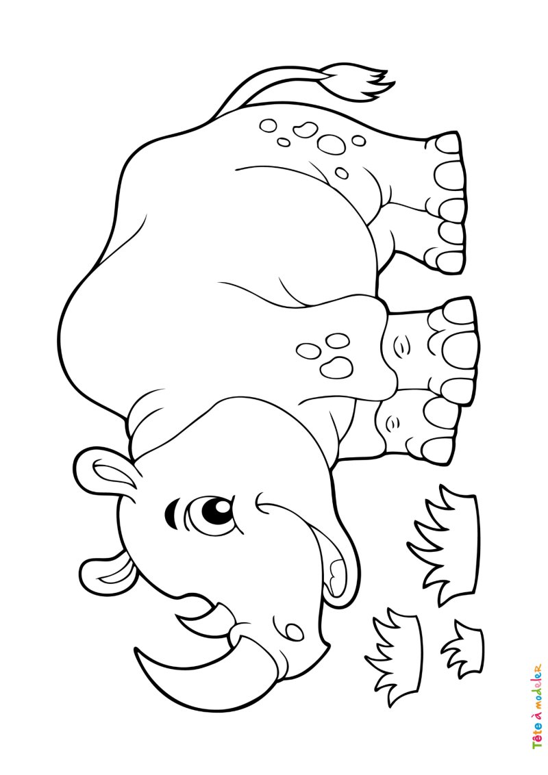 Coloriage rhinocéros #05