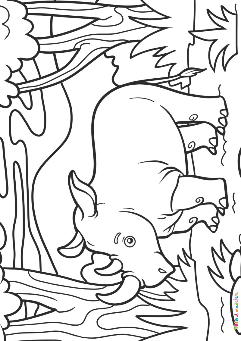 Coloriage rhinocéros #06