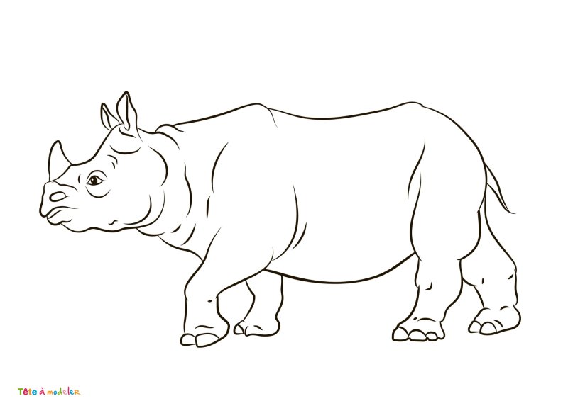 Coloriage rhinocéros #09