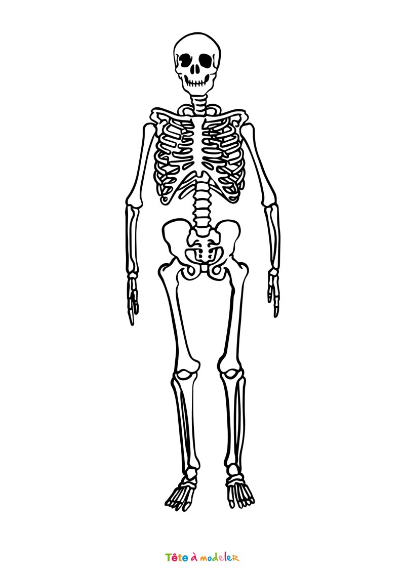 Coloriage squelette pour enfant