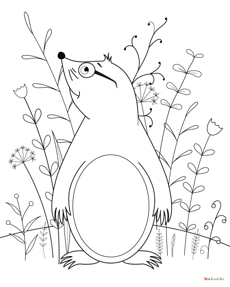 Coloriage taupe #04