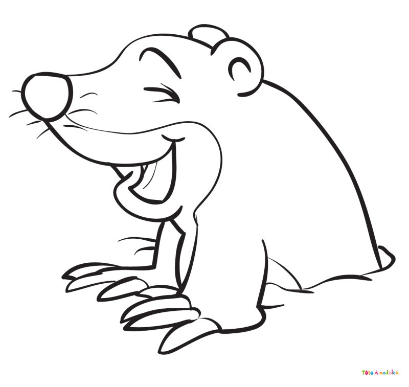 Coloriage taupe #08