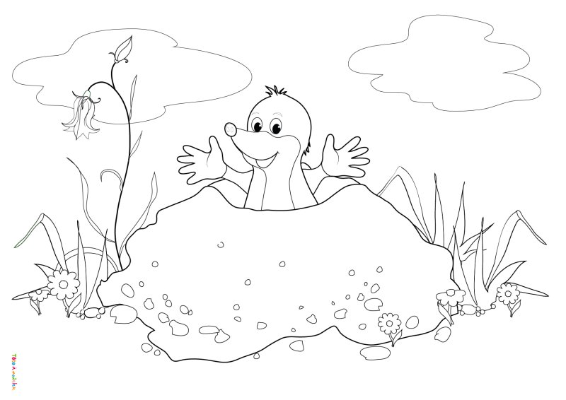 coloriage taupe #09