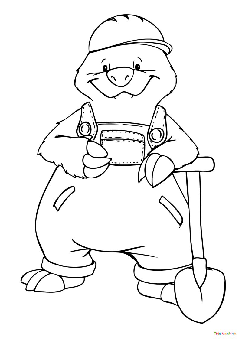 Coloriage taupe #10