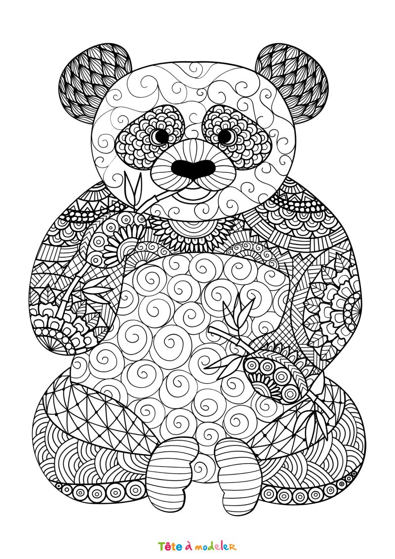 Coloriage tete de lion mandala