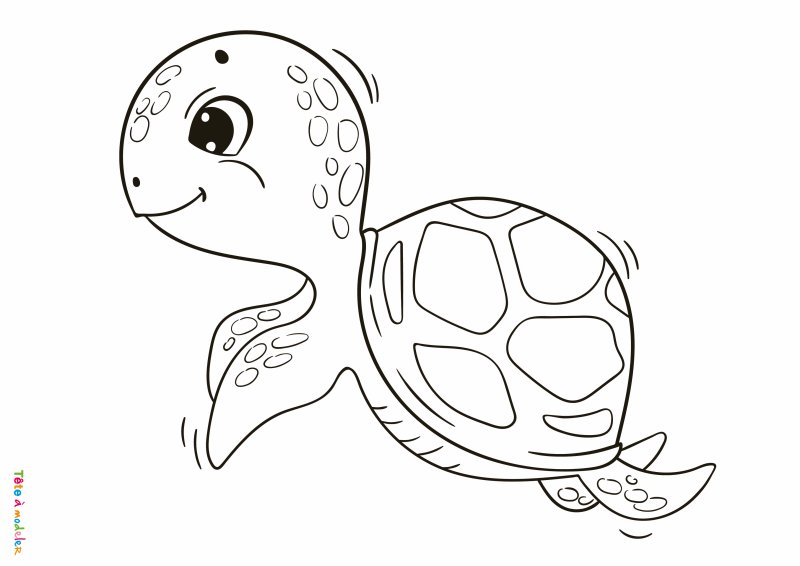 Coloriage tortue mignonne
