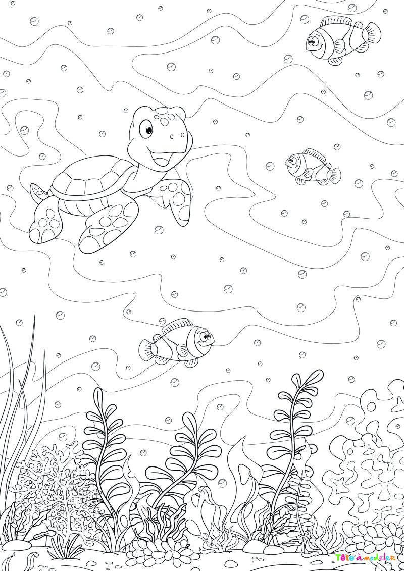 Coloriage d'une tortue d'eau