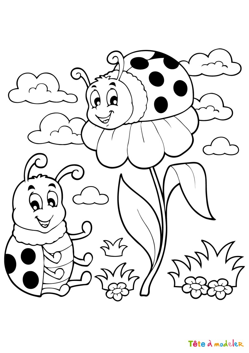 Dessin coccinelle #1