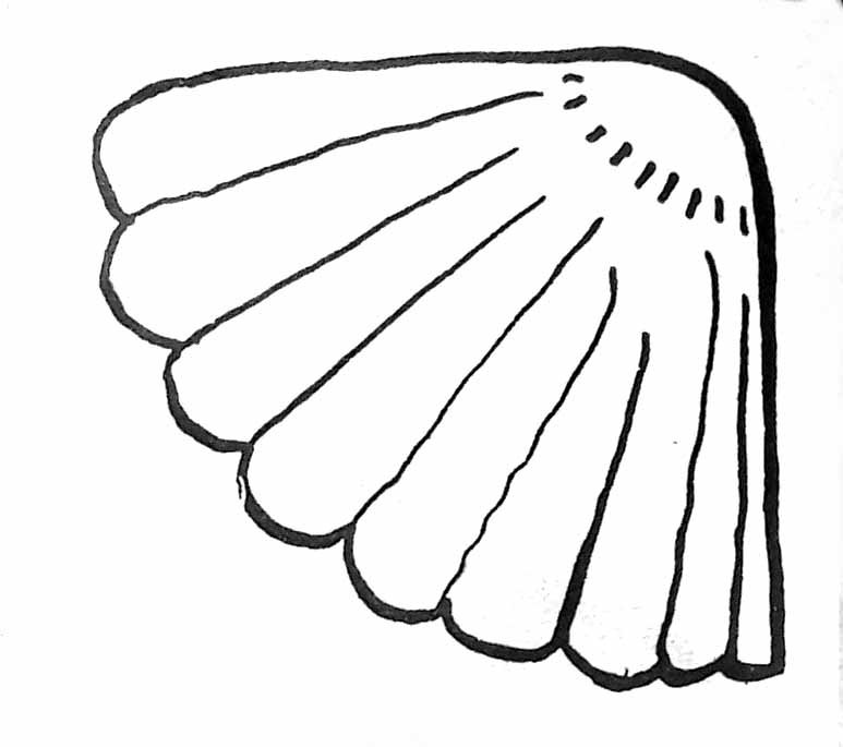 Dessin de coquillage rapide