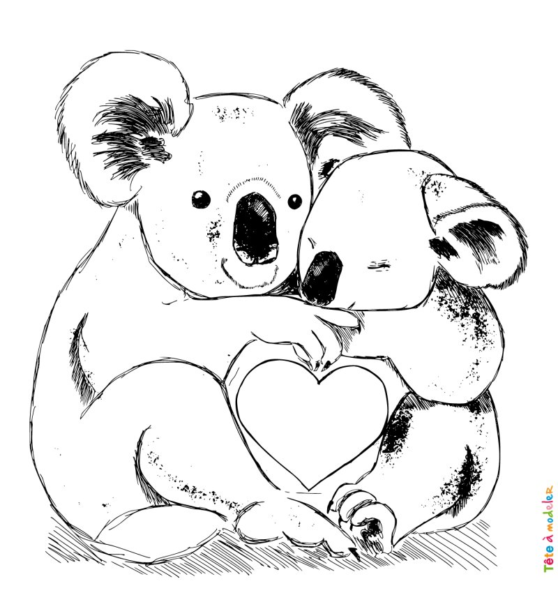Dessin d'un koala avec son bébé